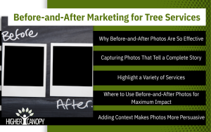 Tree Services